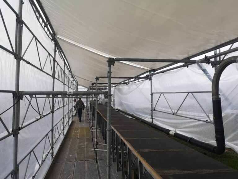 Hængestilladser i Aalborg